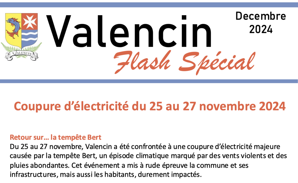 FLASH Spécial Décembre 2024